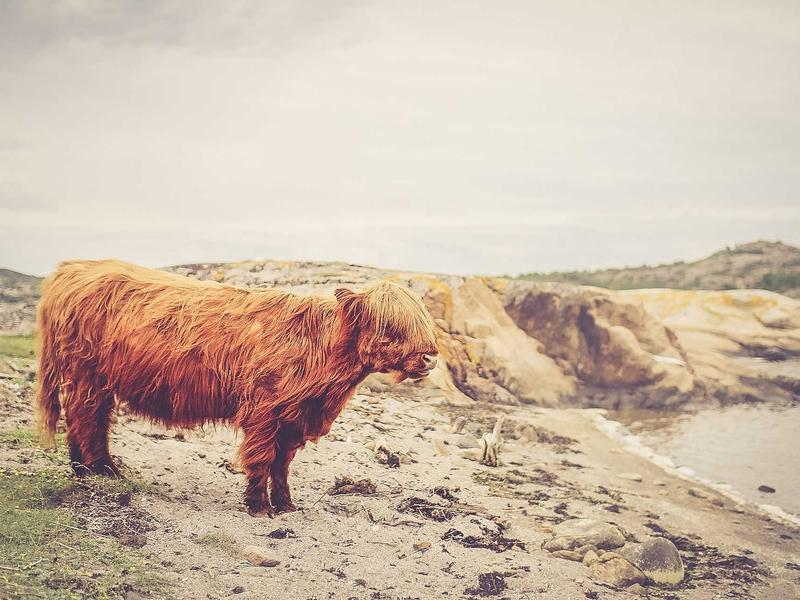 رهن 150 متری سند اداری سردارجنگل - تصویر 3