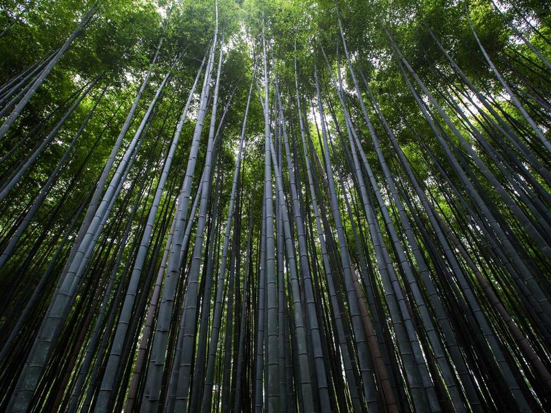 155متر دریاچه چیتگر/کوهک/مرواریدشهر - تصویر 3