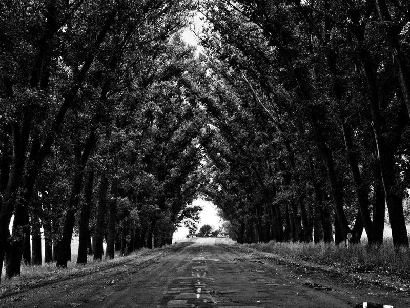 اجاره آپارتمان 85 متری در نیروی هوایی (پیروزی) - تصویر 3