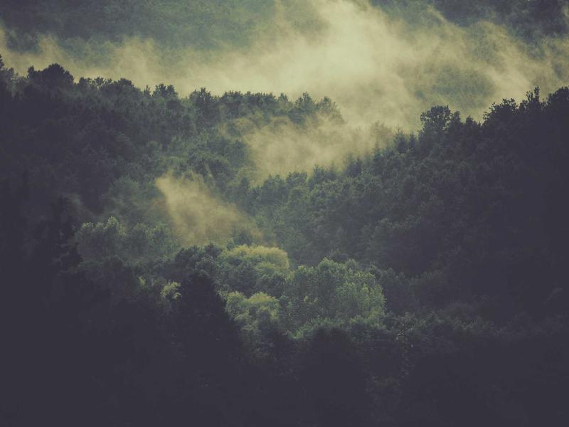 اجاره اداری و تجاری 560 متری در آرژانتین - تصویر 4
