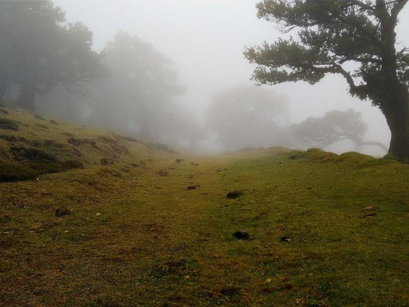 دفتر اداری در خیابان آزادی - تصویر 4