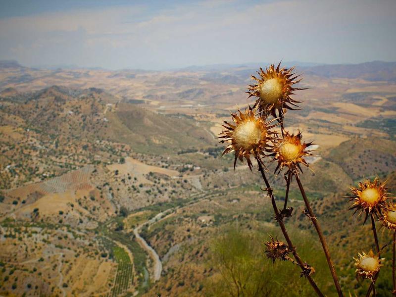 اجاره اداری و تجاری 15 متری در صادقیه - تصویر 2