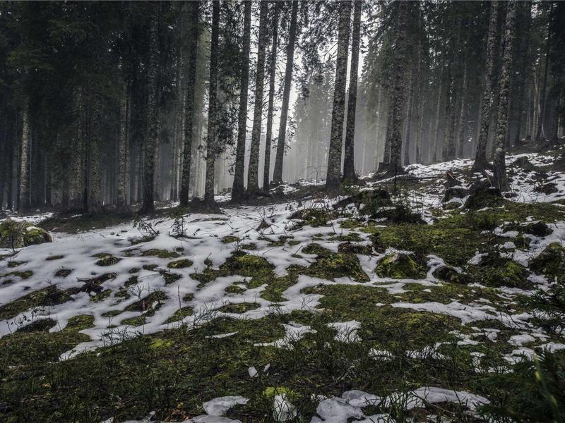 60متر کلنگی بر6گذر12 - تصویر 3