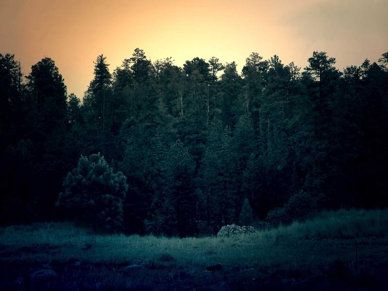 سویت انباری - تصویر 3