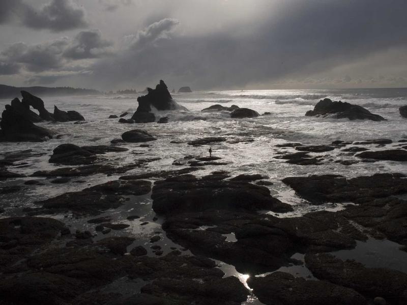 اجاره میز ناخن به ناخنکار حرفه ای - تصویر 2