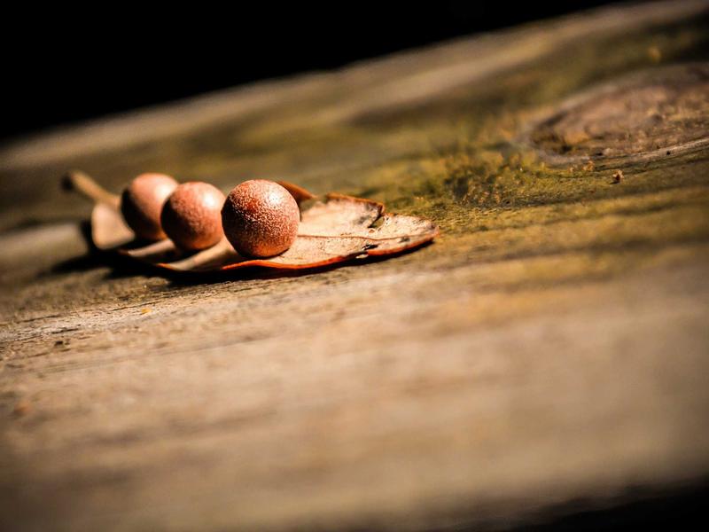 اپارتمان تهرانپارس شرقی - تصویر 2