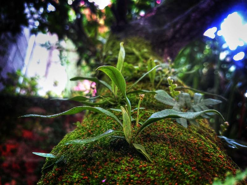 اجاره غرفه در هاشمی و 21 متری بدون پیش - تصویر 4