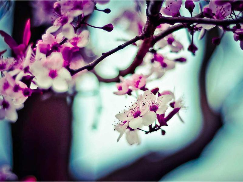 80متر / دوخواب /پارکینگ سندی - تصویر 2