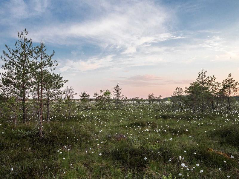 سوییت روزانه سویئت مبله اجاره منزل مبله پونک - تصویر 4