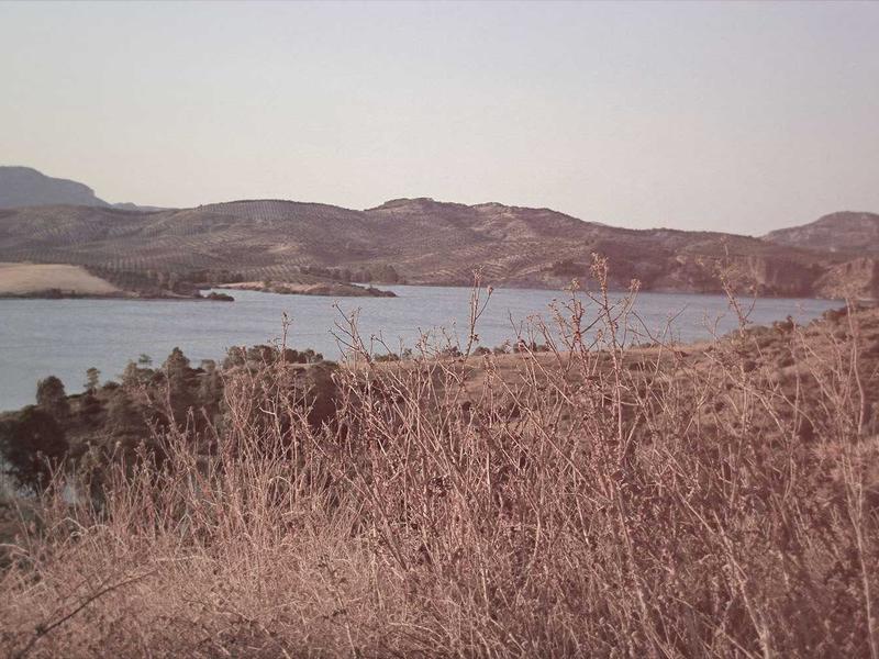 50 متراداری / نیروهوایی - تصویر 3