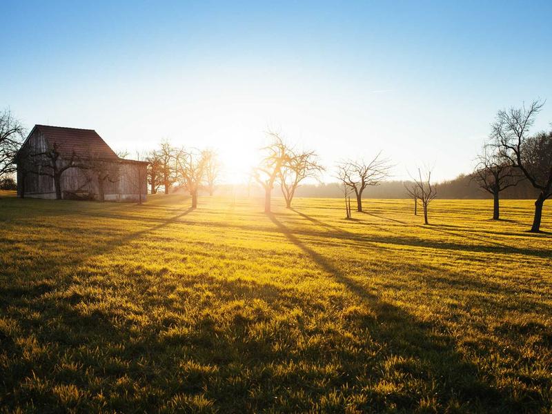 اطلاعیه فوری برای خانه اولی ها - تصویر 4