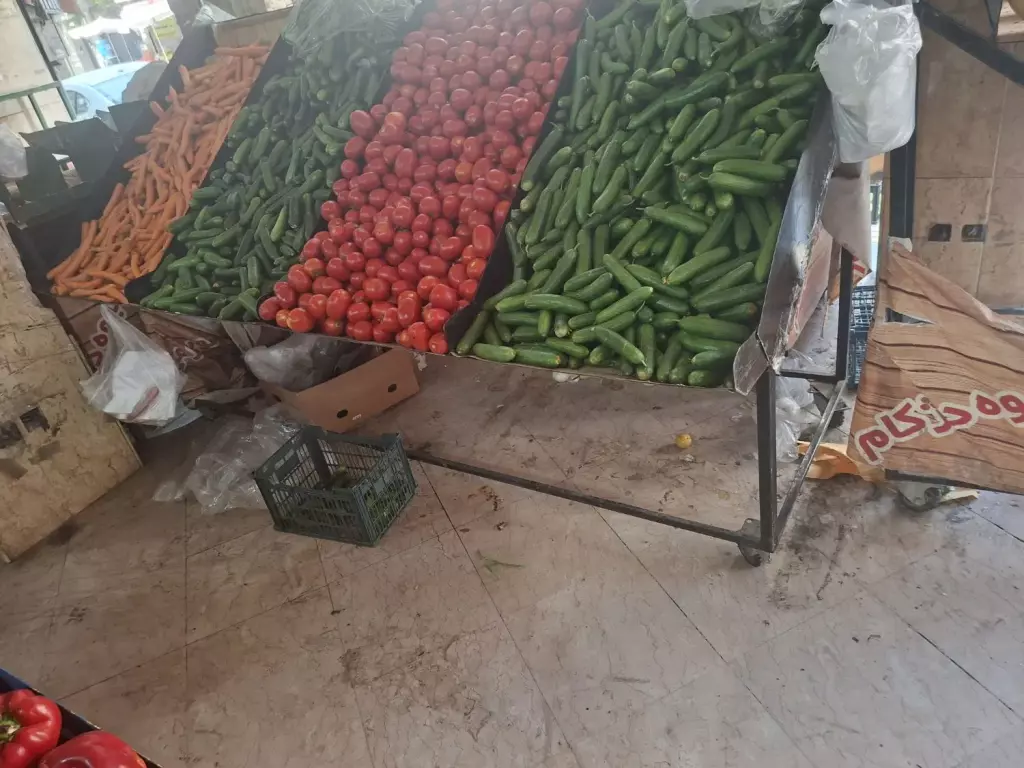 مغازه میوه فروشی - تصویر 17