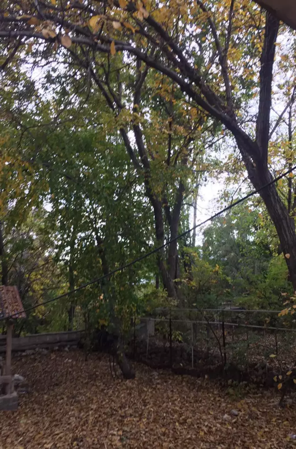 742 متر باغچه در شهر دماوند تهاتر 50% با آپارتمان - تصویر 3