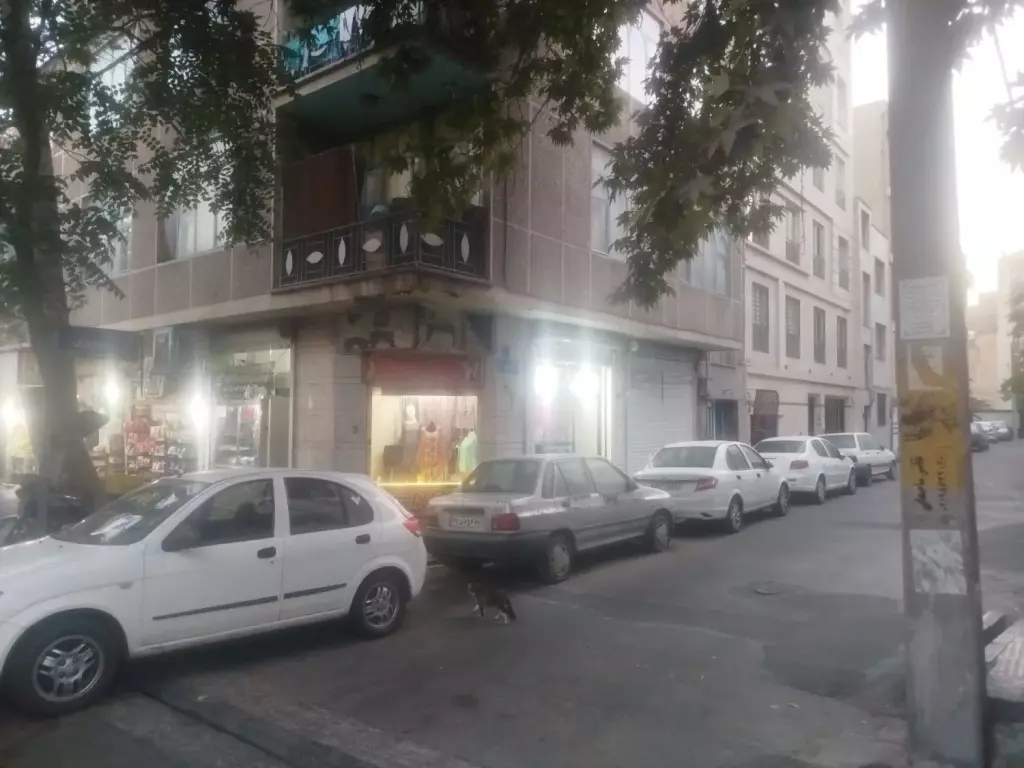 فروش ملک مسکونی و تجاری - تصویر 13
