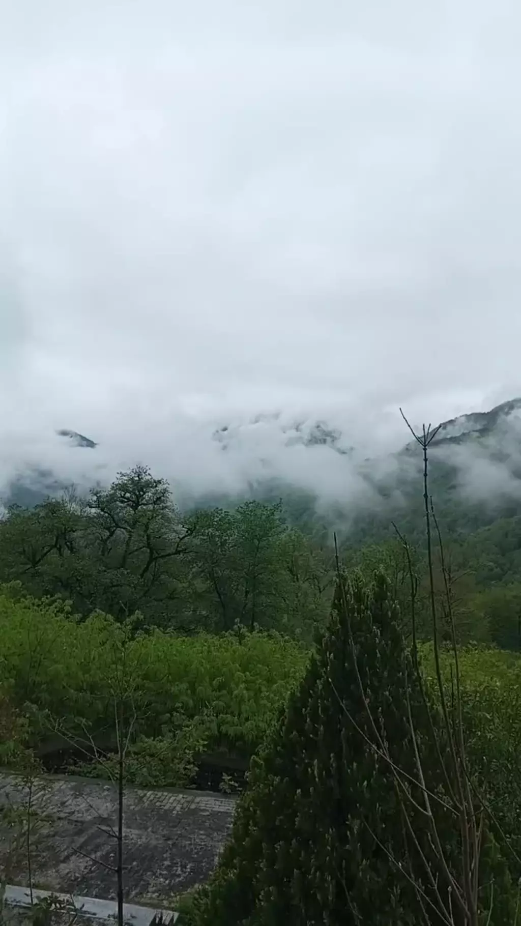 رامسر / منطقه رویایی / دههزار متر