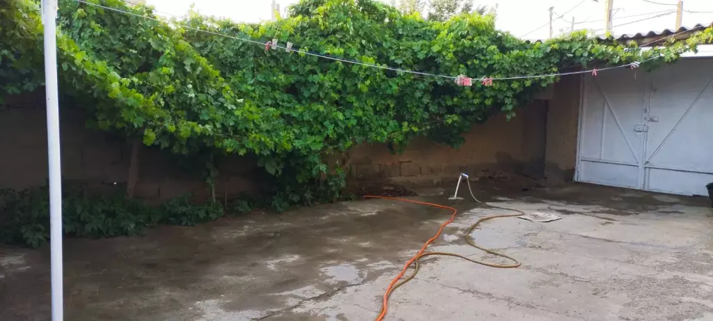 خانه   ر  و س  تا  یی  ـ سند تـک بـرگ - تصویر 2