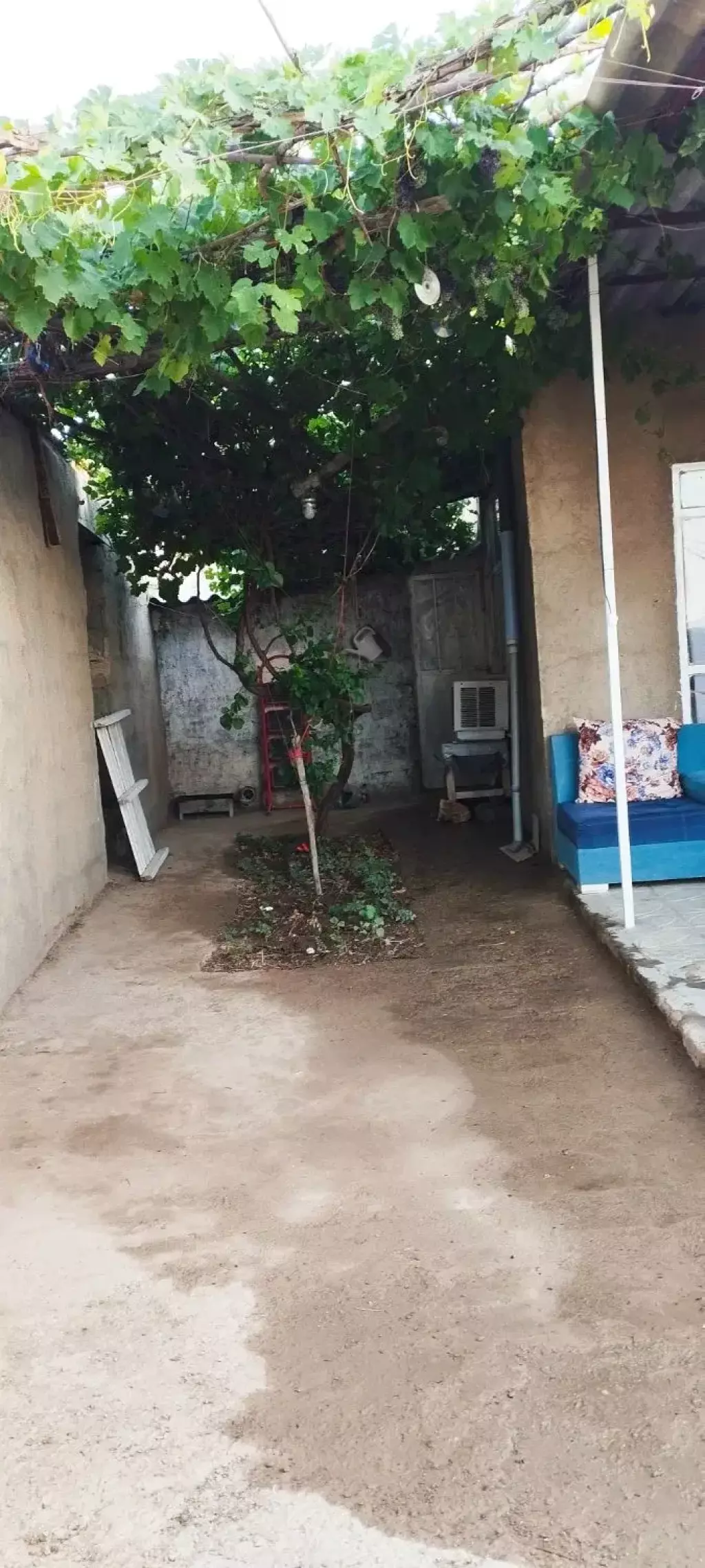 خانه   ر  و س  تا  یی  ـ سند تـک بـرگ - تصویر 3
