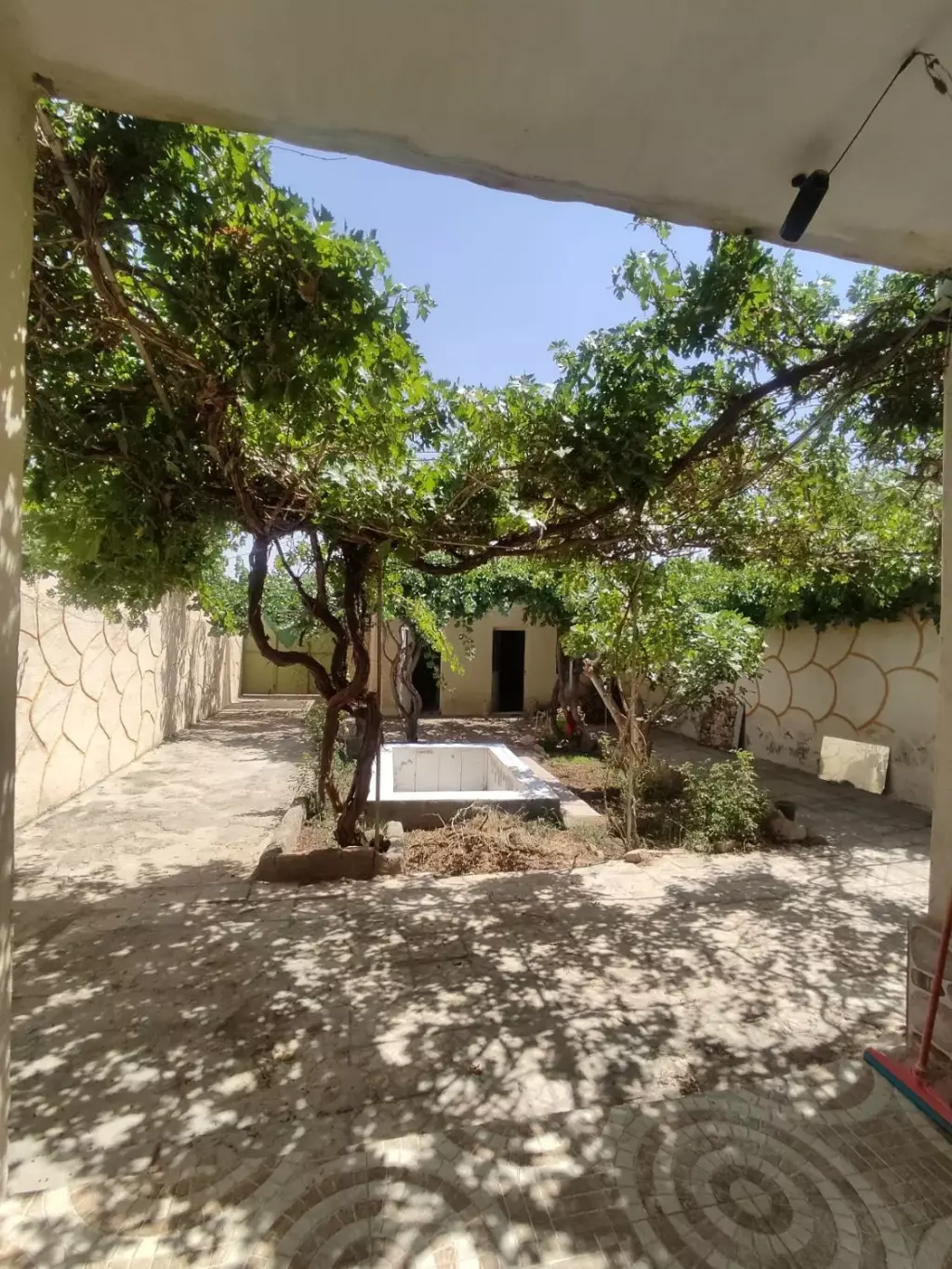 خونه باغ - تصویر 2