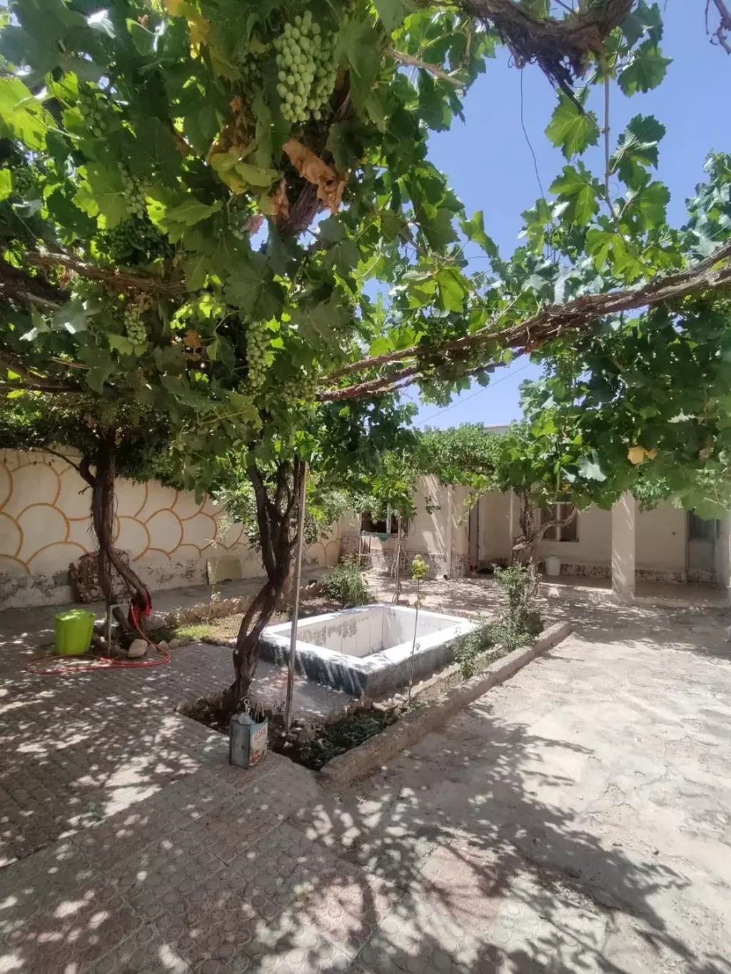 خونه باغ