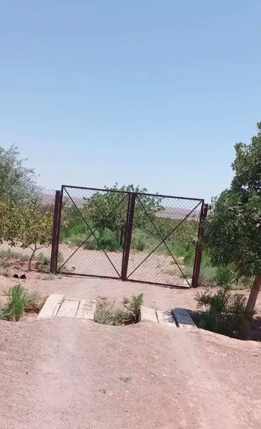 فروش باغ پسته