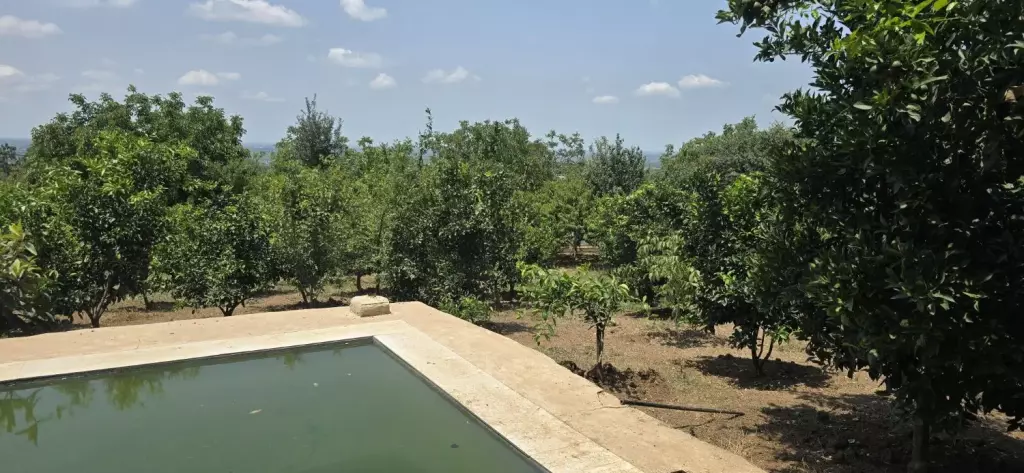 ویلا باغ در مازندران - تصویر 8