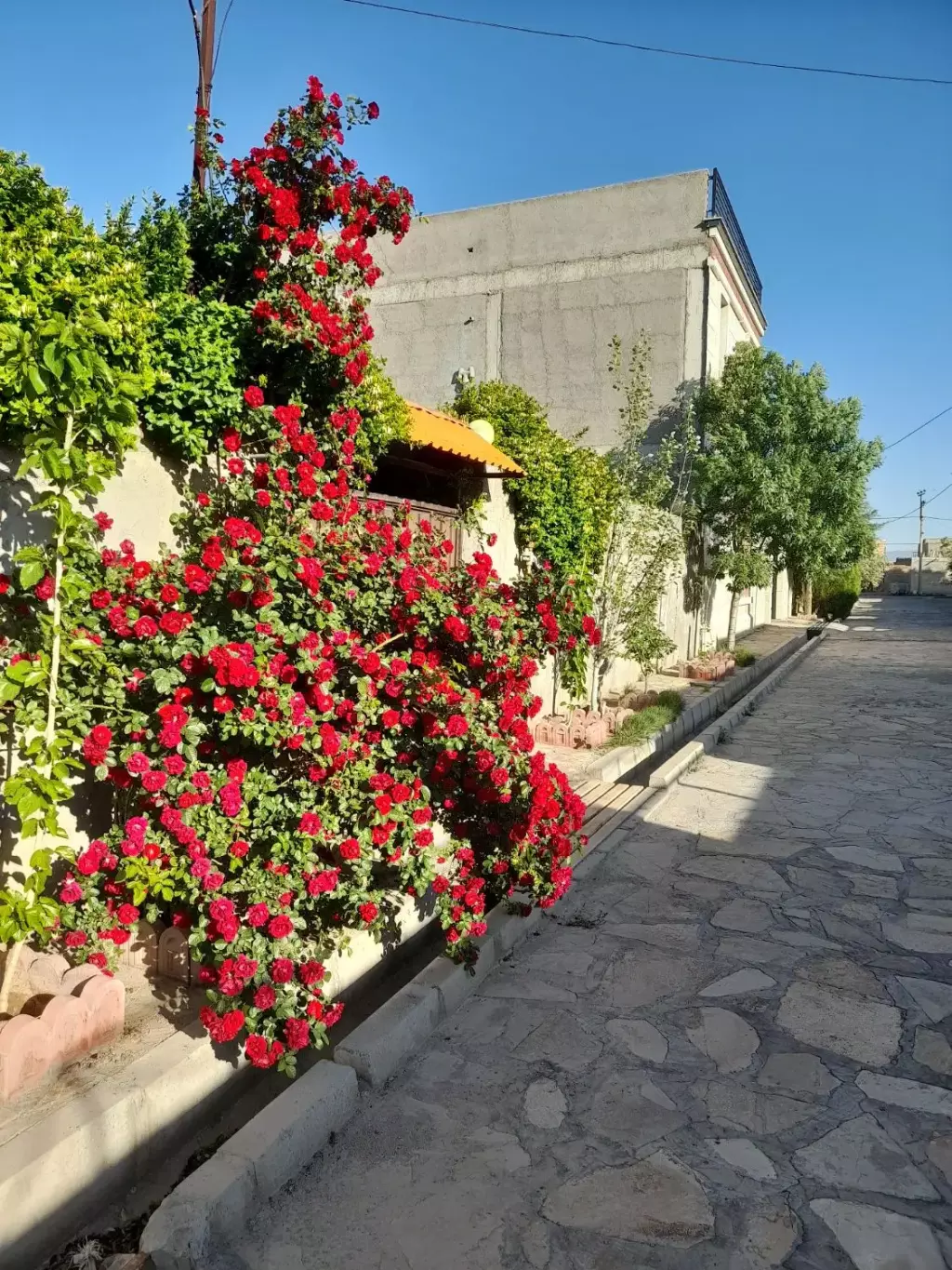 ویلا باغ سندملکیت تک برگ(فاصله باتهران زیر2 ساعت) - تصویر 17