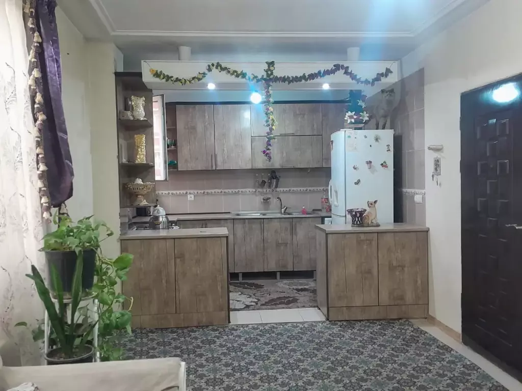 اجاره اپارتمان 56 متری، یک خوابه - تصویر 2