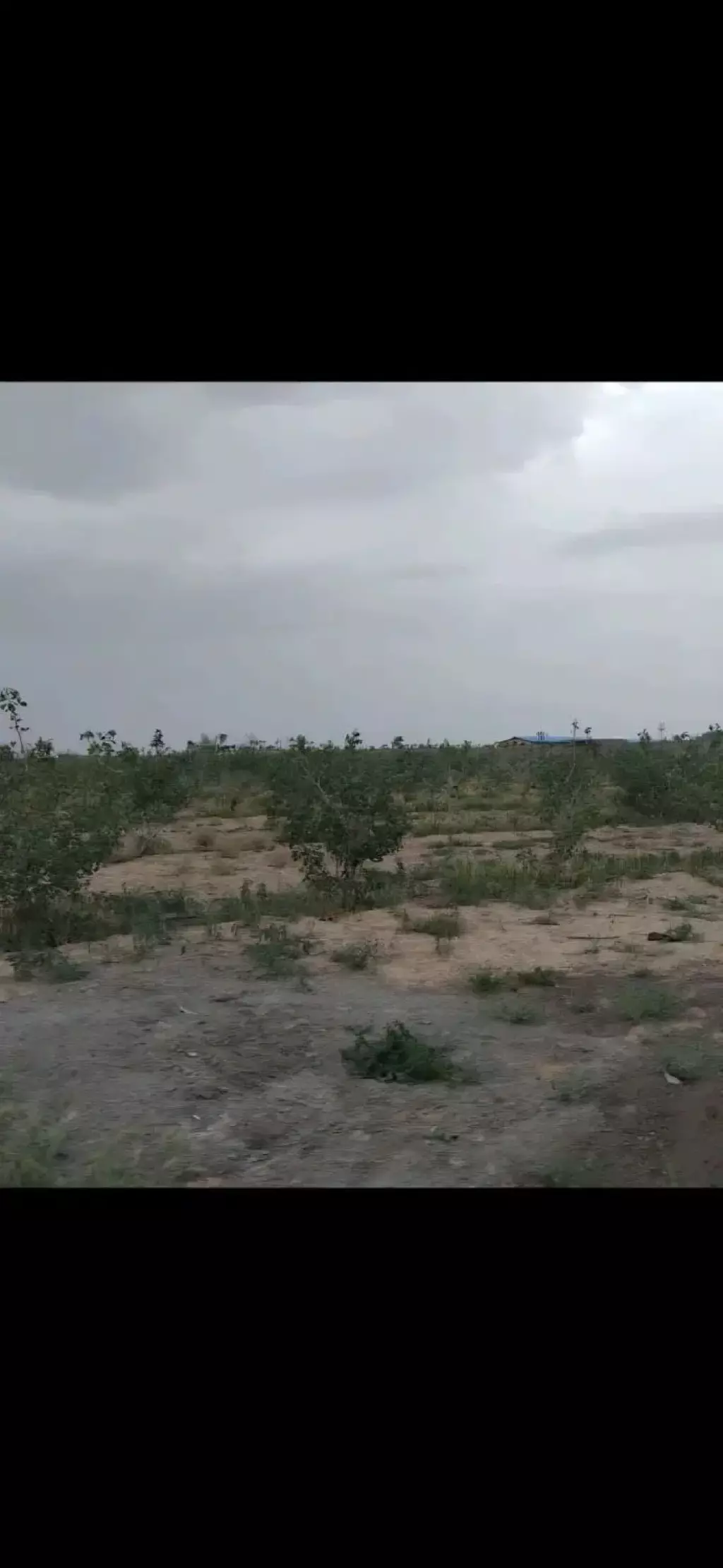 باغچه آماده سکونت