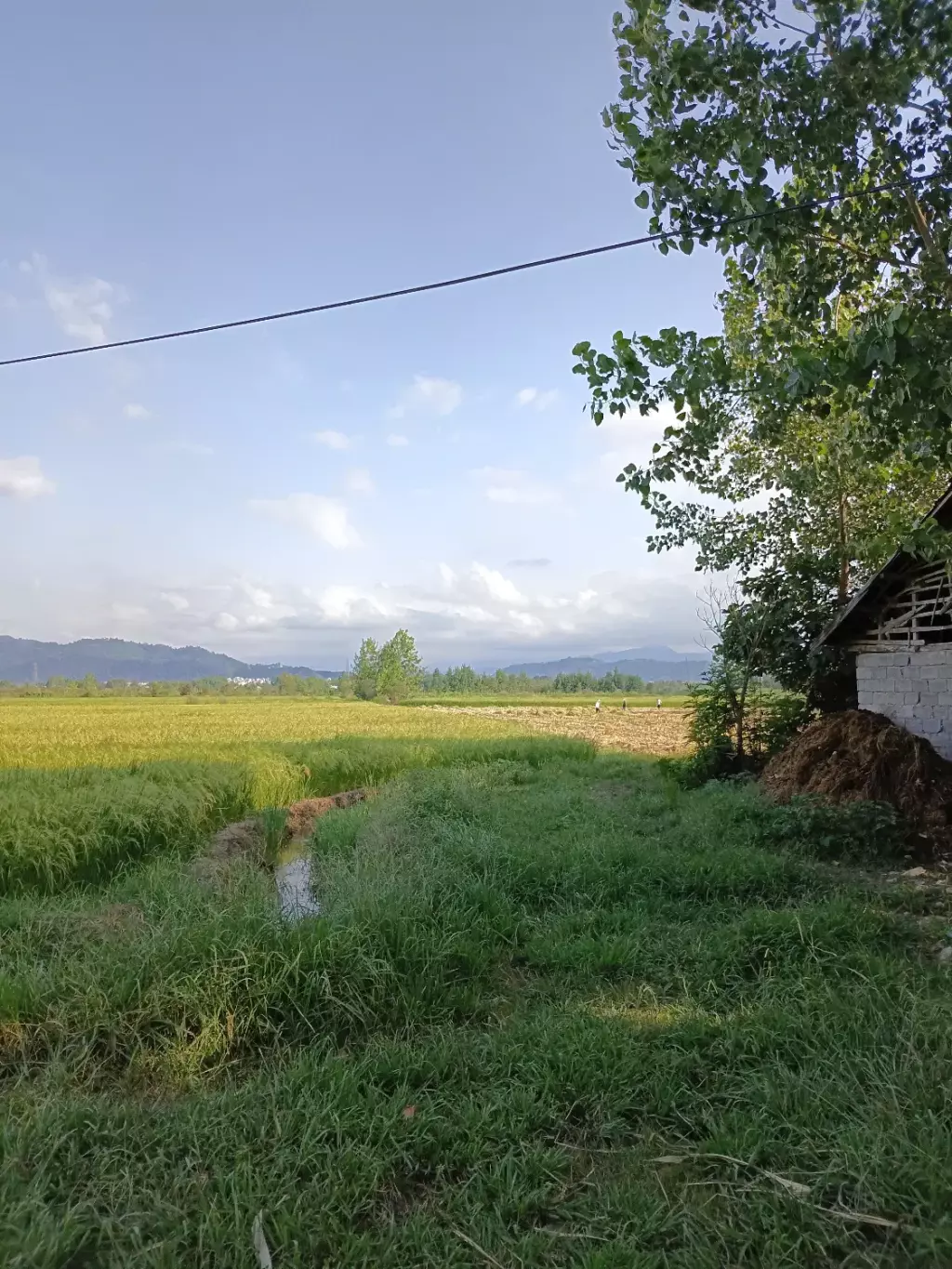 فروش زمین مسکونی به همراه ملک - تصویر 3