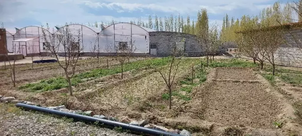 فروش گلخانه هیدروپونیک بعلت تغییرمکان/واقع درسلماس - تصویر 2