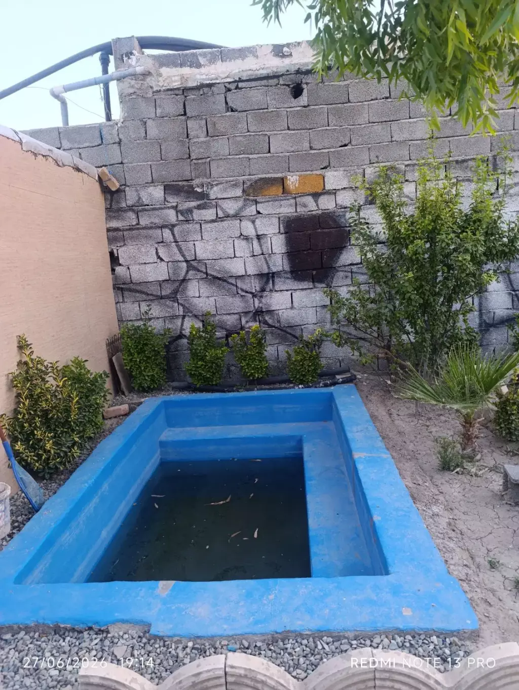 زمین و باغچه - تصویر 6