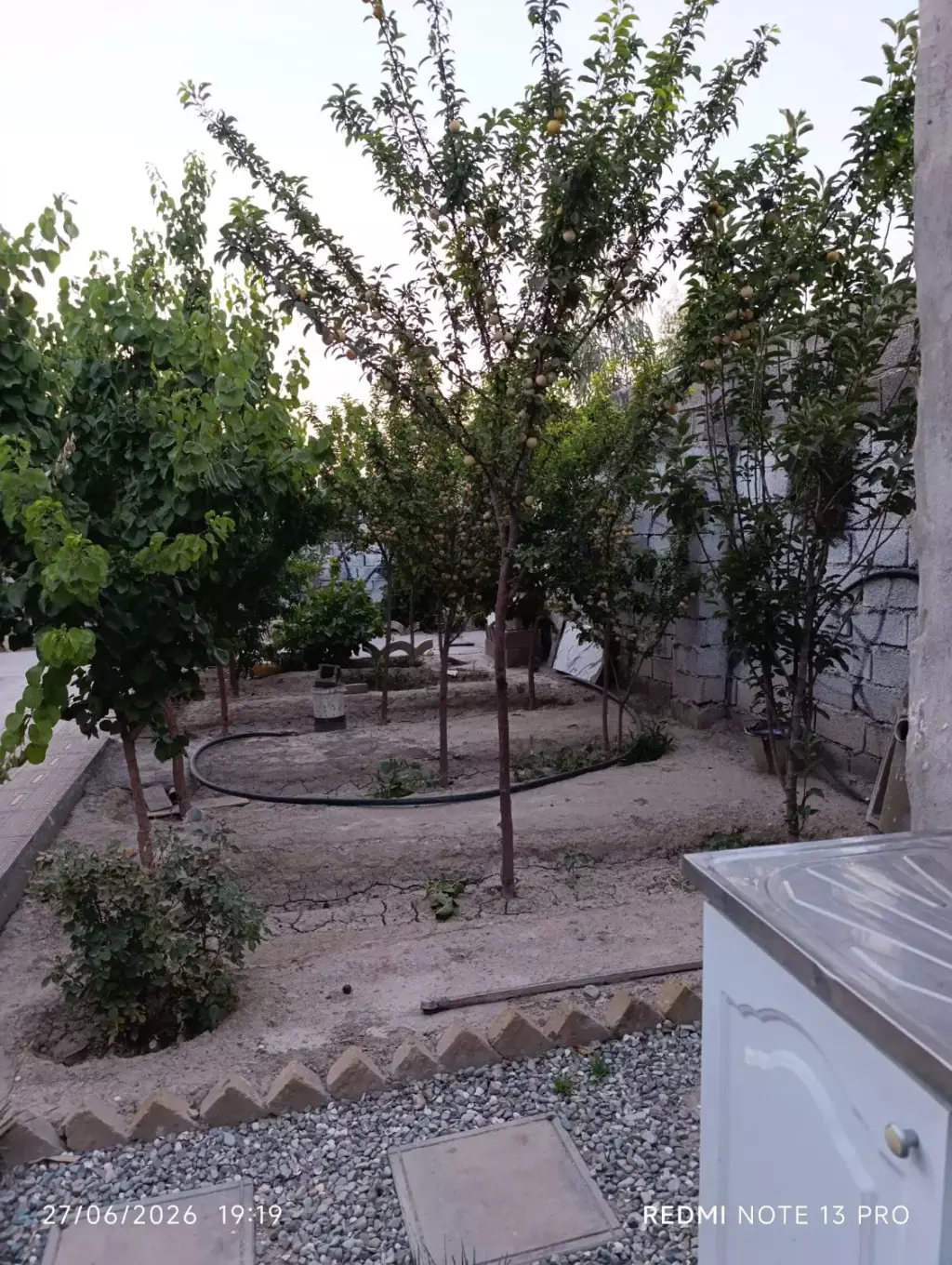 زمین و باغچه - تصویر 7