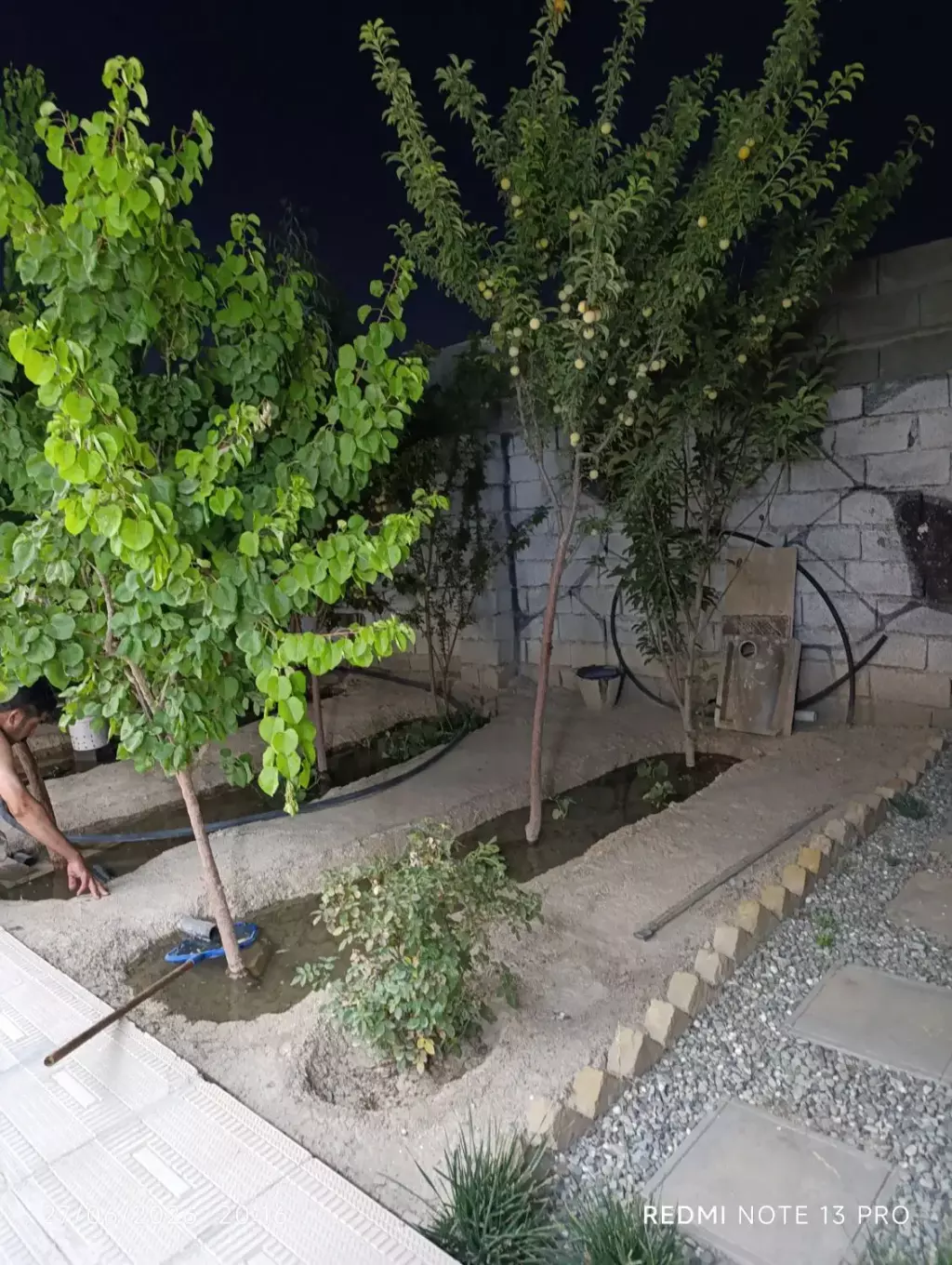 زمین و باغچه - تصویر 12