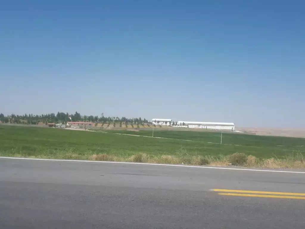 اجاره مرغداری تخمگذار 121هزار قطعه ی فول اتوماتیک - تصویر 2