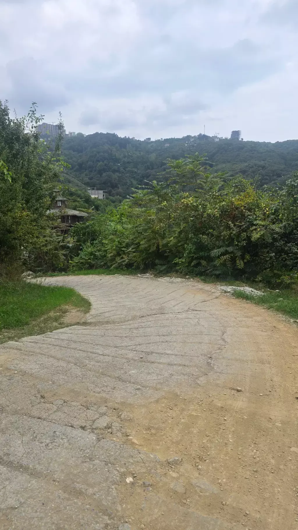 260 متر اربکله رامسر با سند - تصویر 3