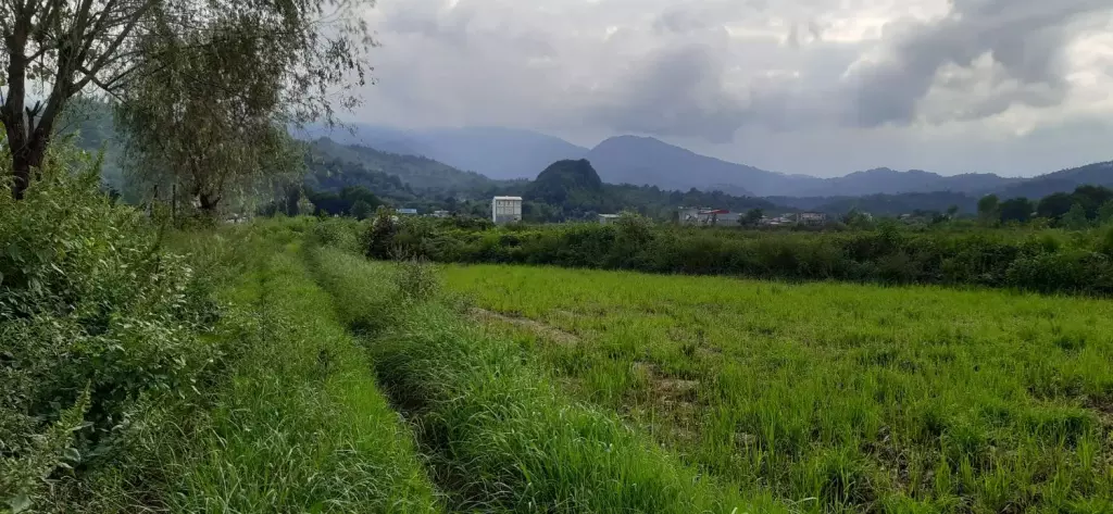 فروش زمین 3440متری تک برگ سند - تصویر 3
