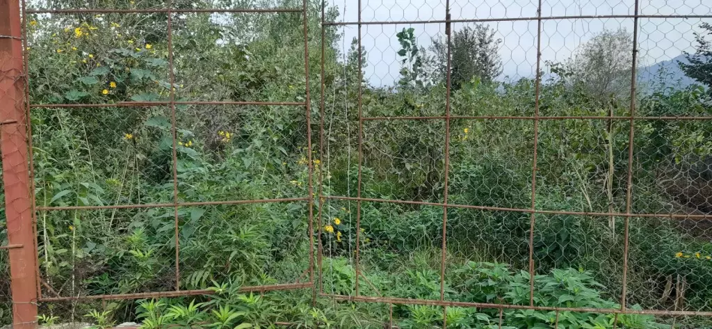 فروش زمین 3440متری تک برگ سند - تصویر 4