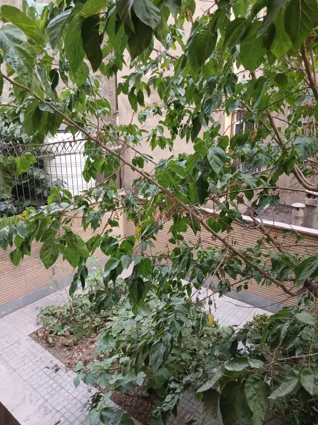 67.4 متر آپارتمان بدون پرتی پونک - تصویر 2