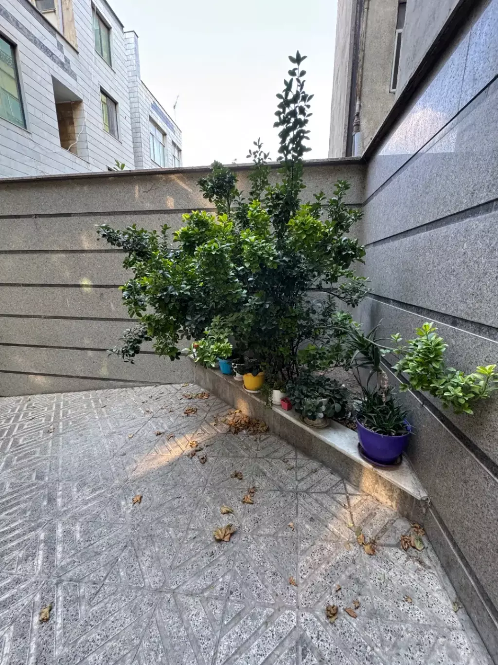 57متر/ 1خواب/بازسازی/ کرمان / خیابان صفایی - تصویر 10