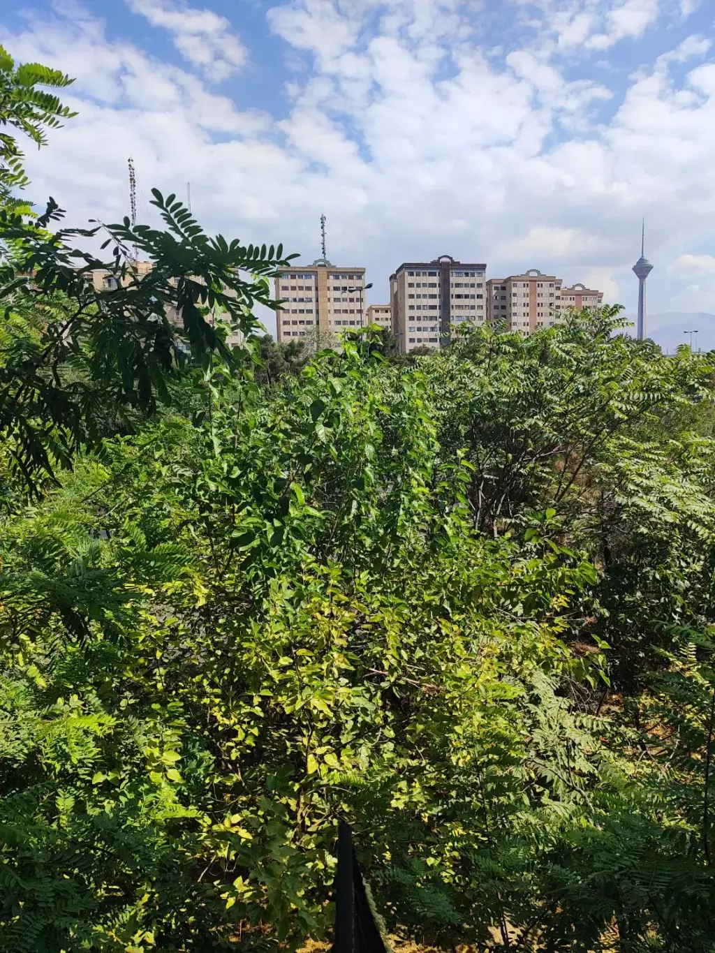 رهن آپارتمان مسکونی - تصویر 18