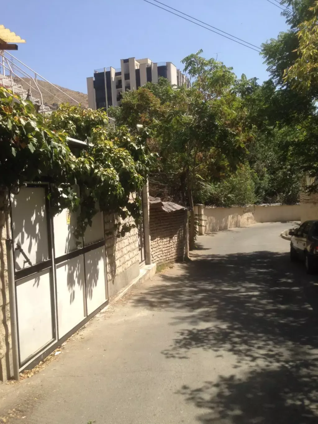 65 یک خواب - تصویر 4