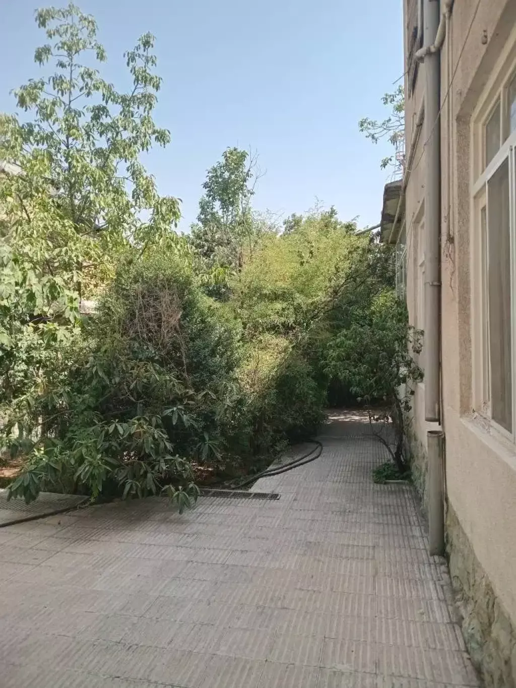 خانه ویلایی درکه شاه حسینی - تصویر 4