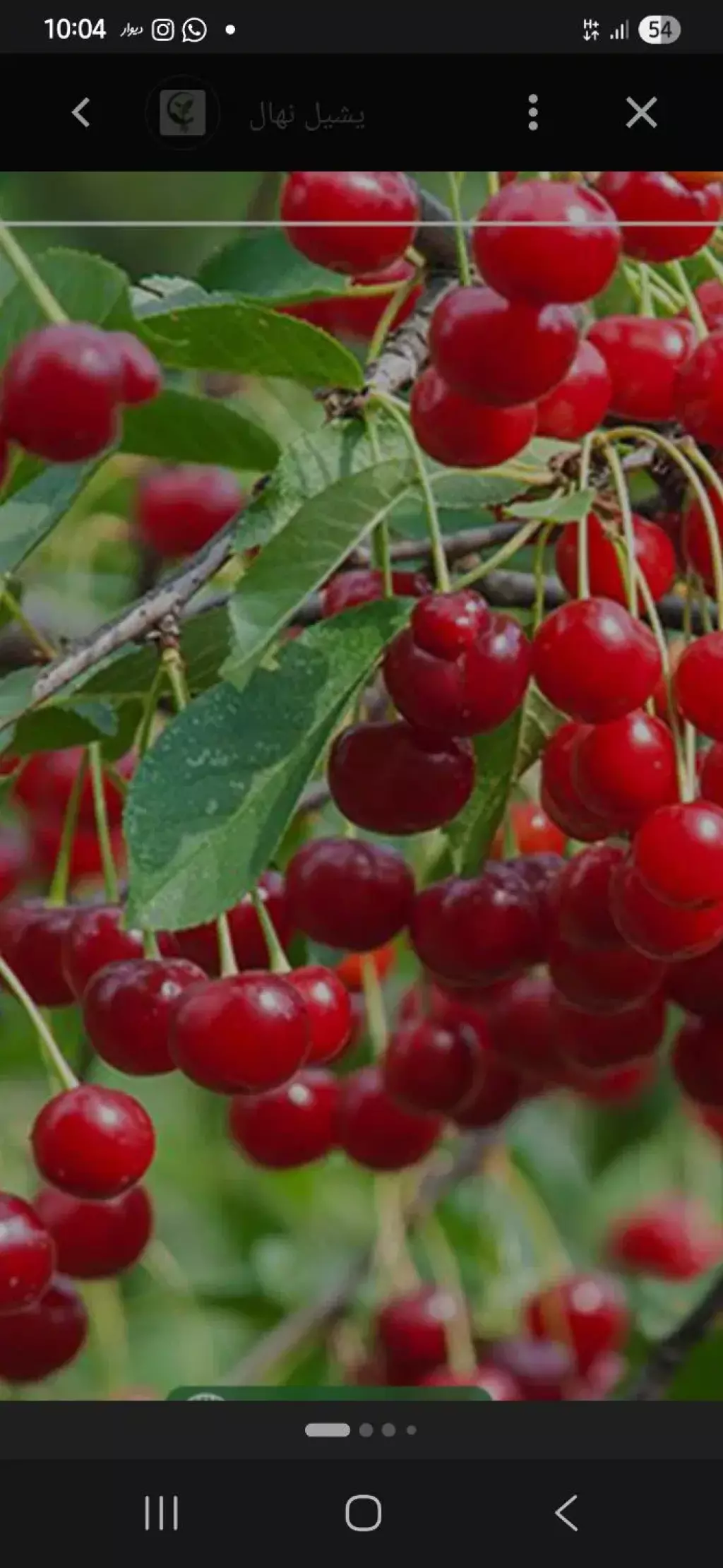 فروش زمین و کلنگی 1200 متری در تهرانسر شرقی