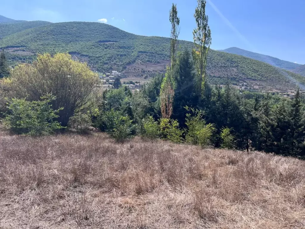 فروش زمین و کلنگی 1000 متری در ولنجک - تصویر 2