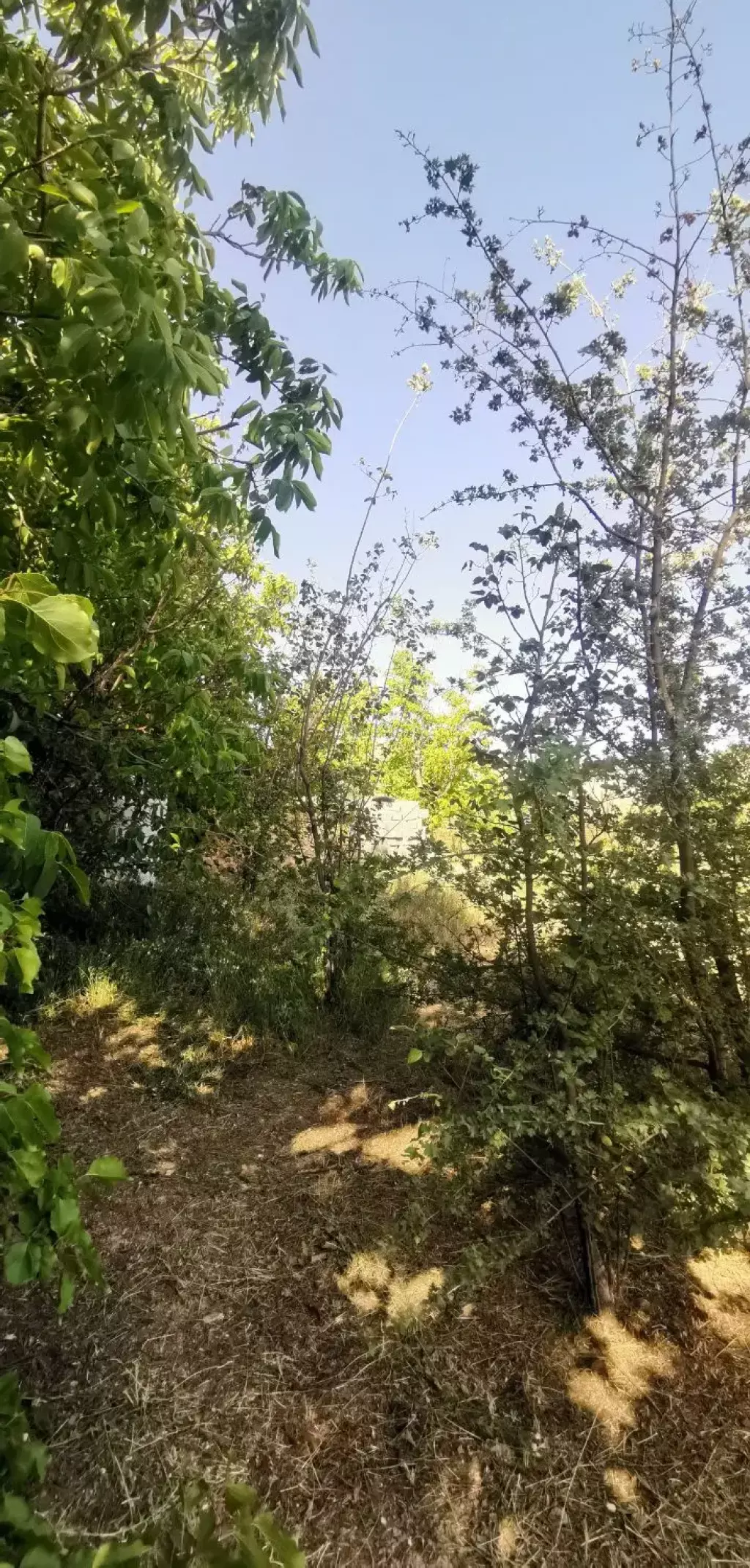 فروش زمین و کلنگی 1500 متری در تهرانپارس غربی - تصویر 16