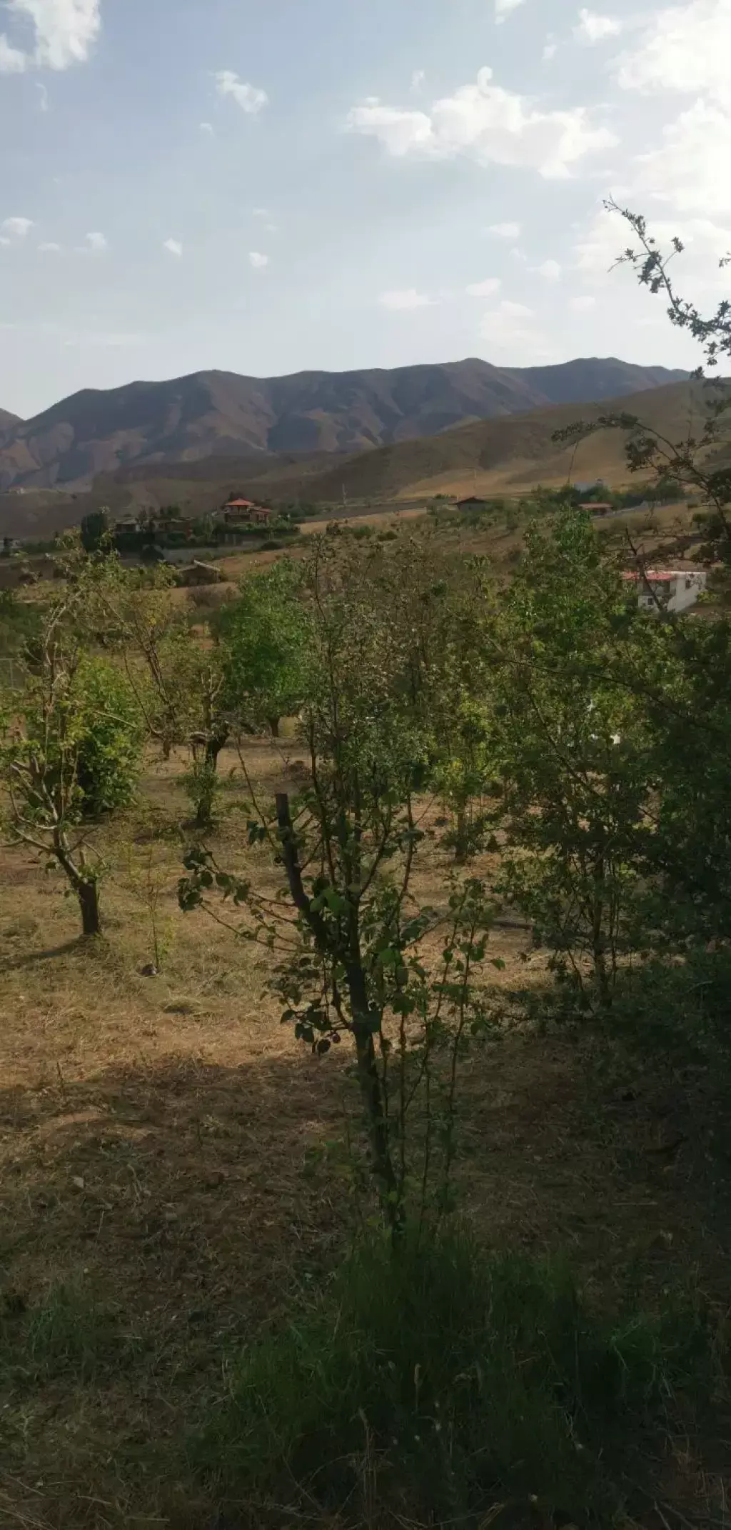 فروش زمین و کلنگی 1500 متری در تهرانپارس غربی - تصویر 17
