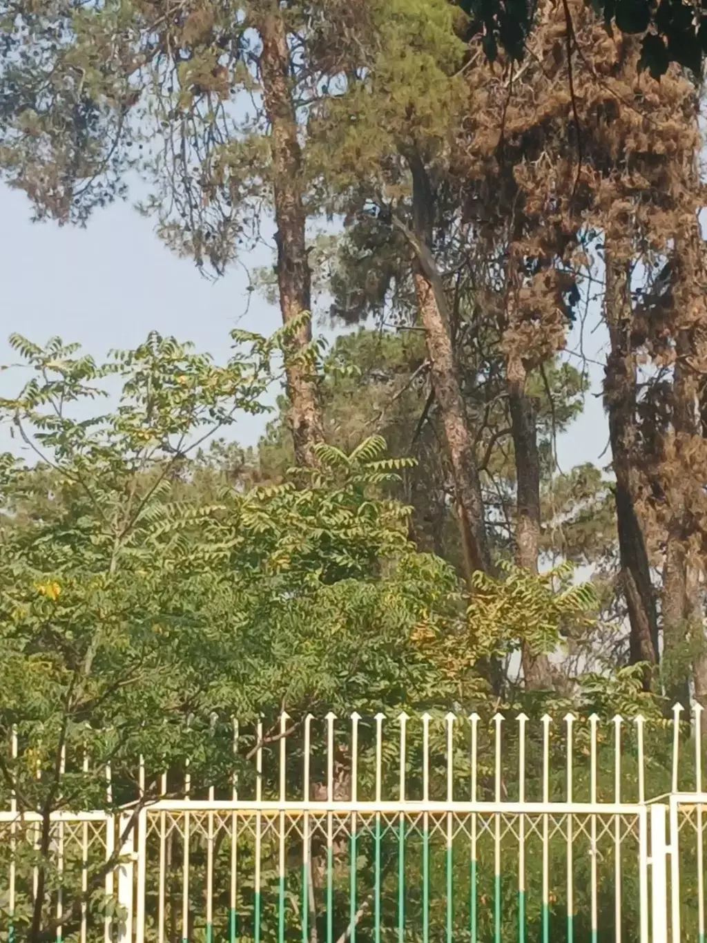 اجاره آپارتمان 80 متری در سنگلج (شاپور)