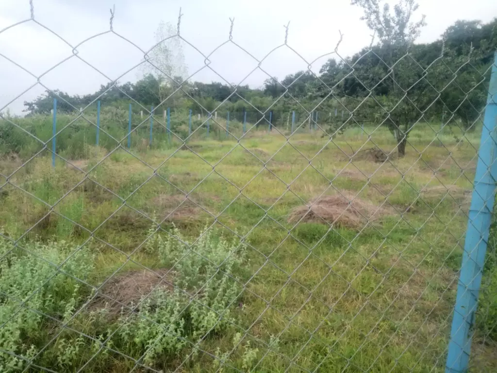 فروش اداری و تجاری 310 متری در ایرانشهر - تصویر 2