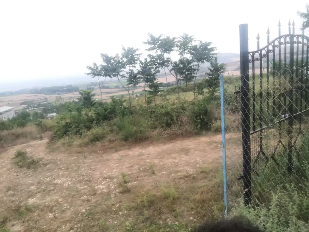 فروش اداری و تجاری 310 متری در ایرانشهر - تصویر 3