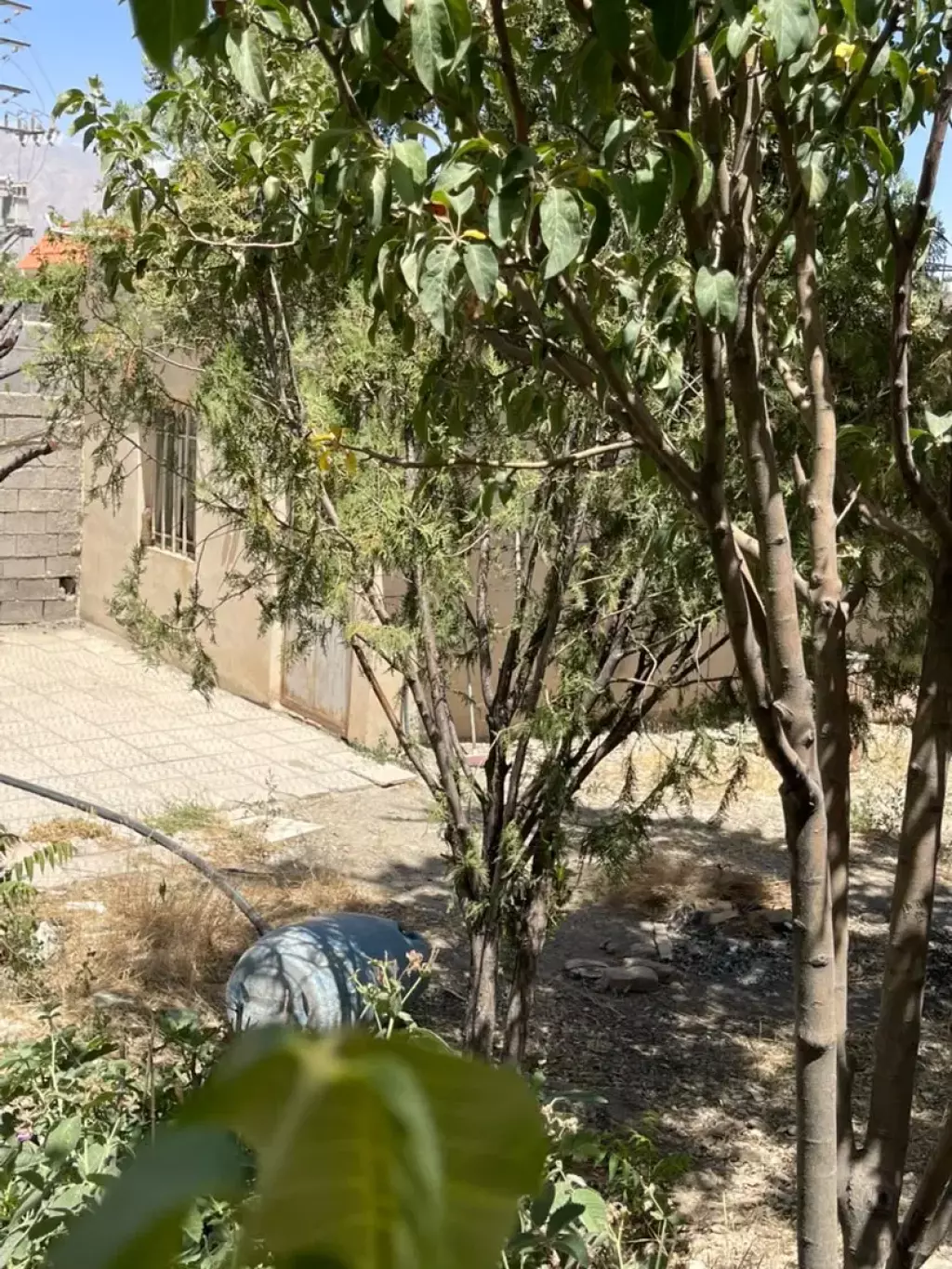 فروش خانه و ویلا 400 متری در تهرانپارس جنوبی - تصویر 5